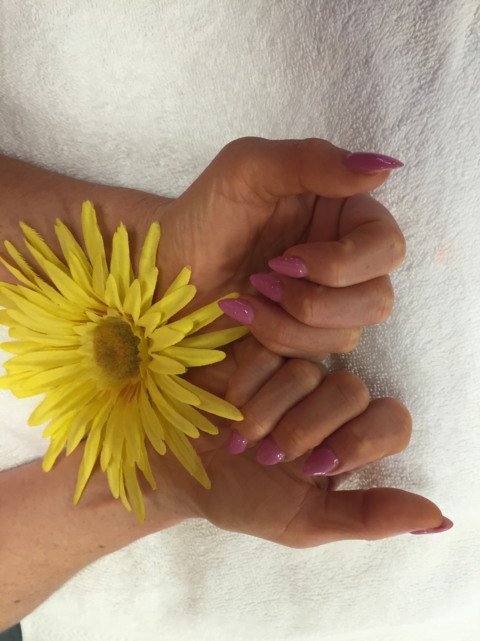 TL Nails & Spa image