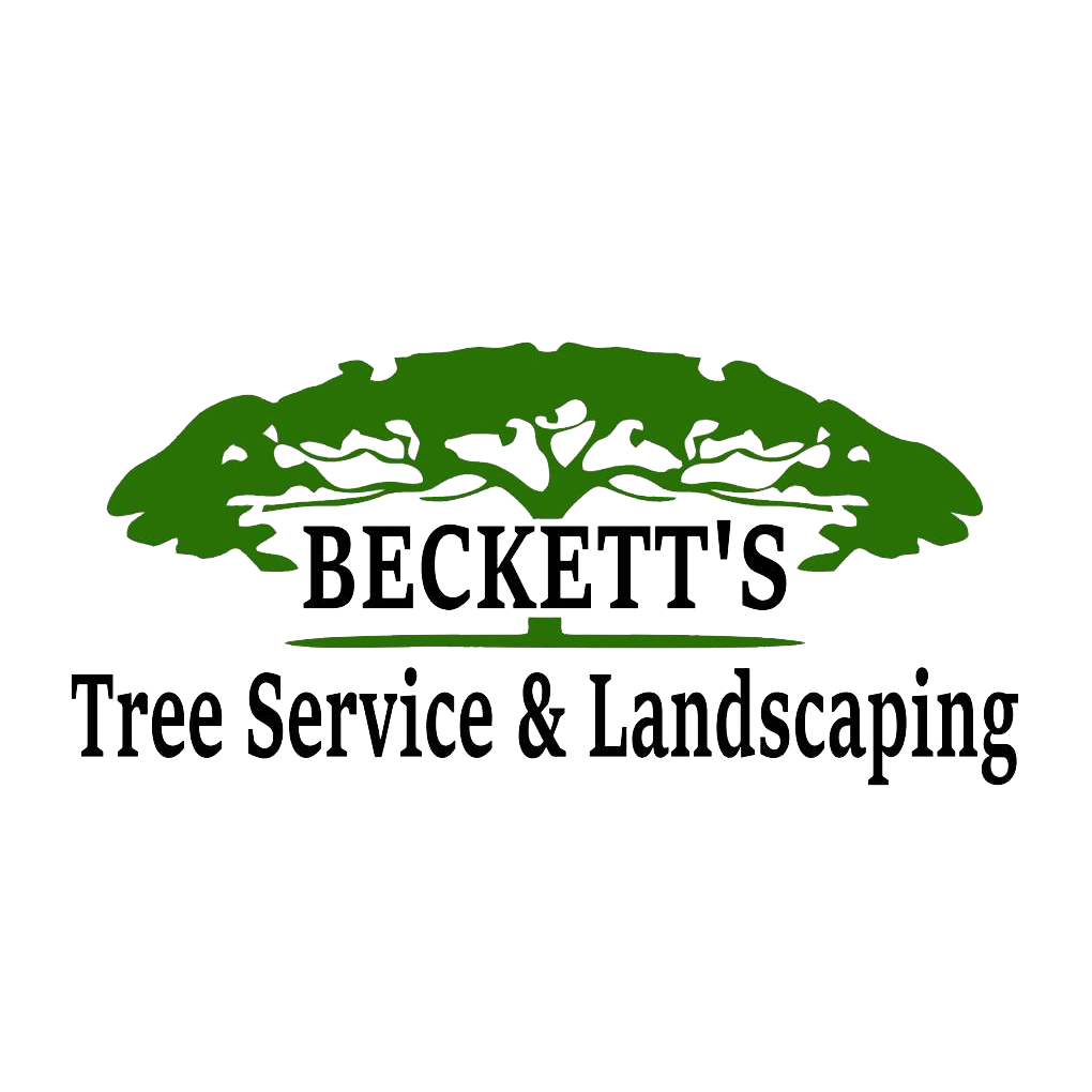 Beckett&apos;s Tree Service &amp; Landscaping Logo