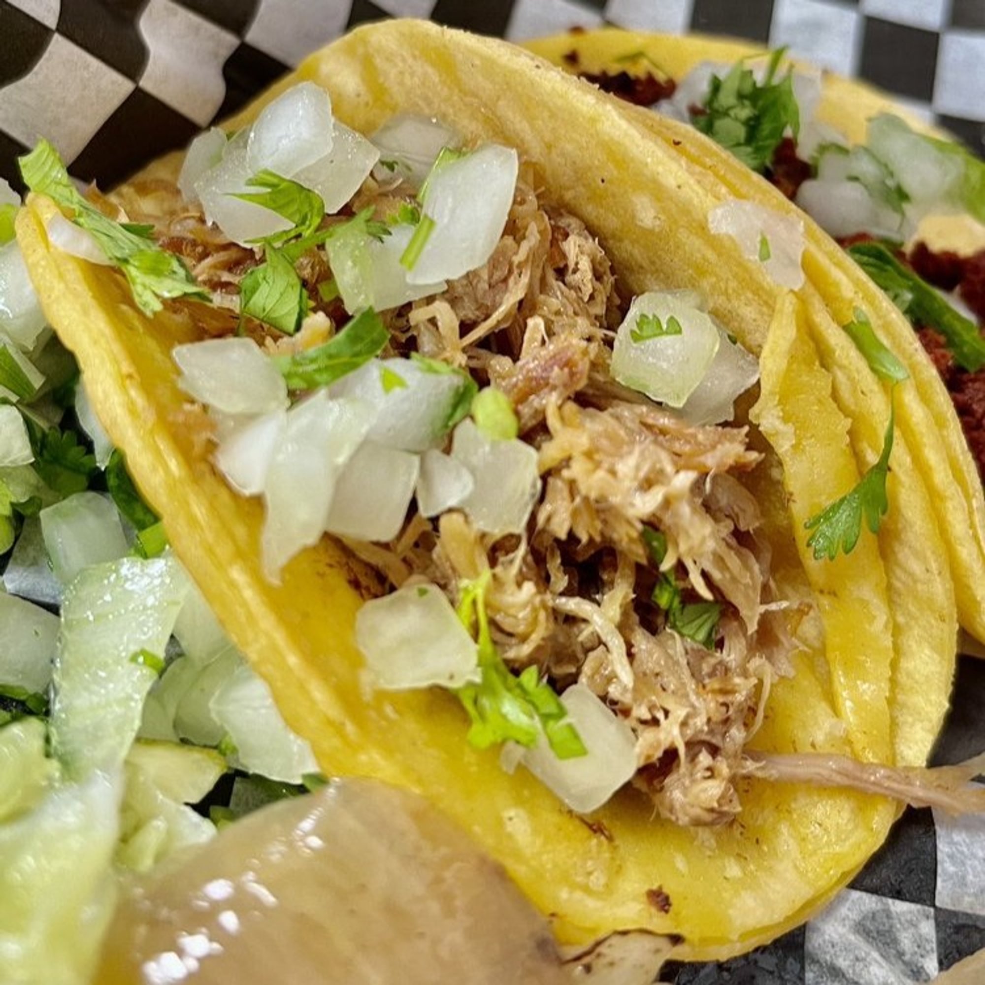 Carnitas Taco (Shredded Pork)