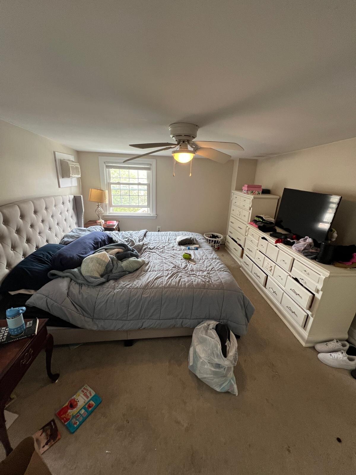 Neia's Shiny Solutions Image