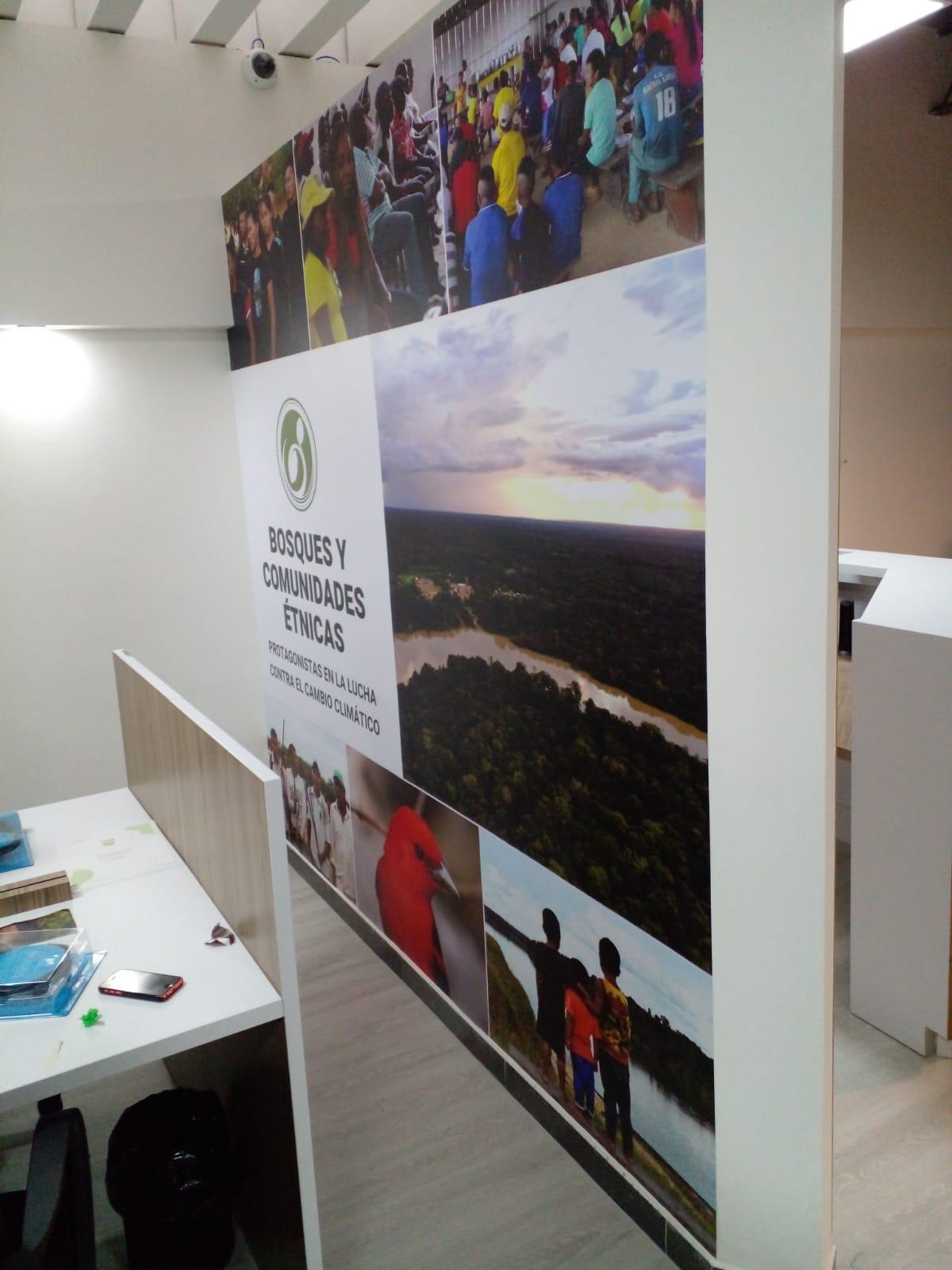 Galería en miniatura