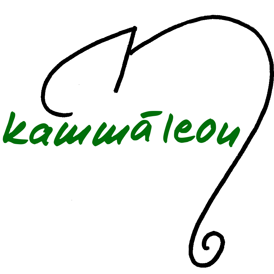 Logo von Friseur Kammäleon