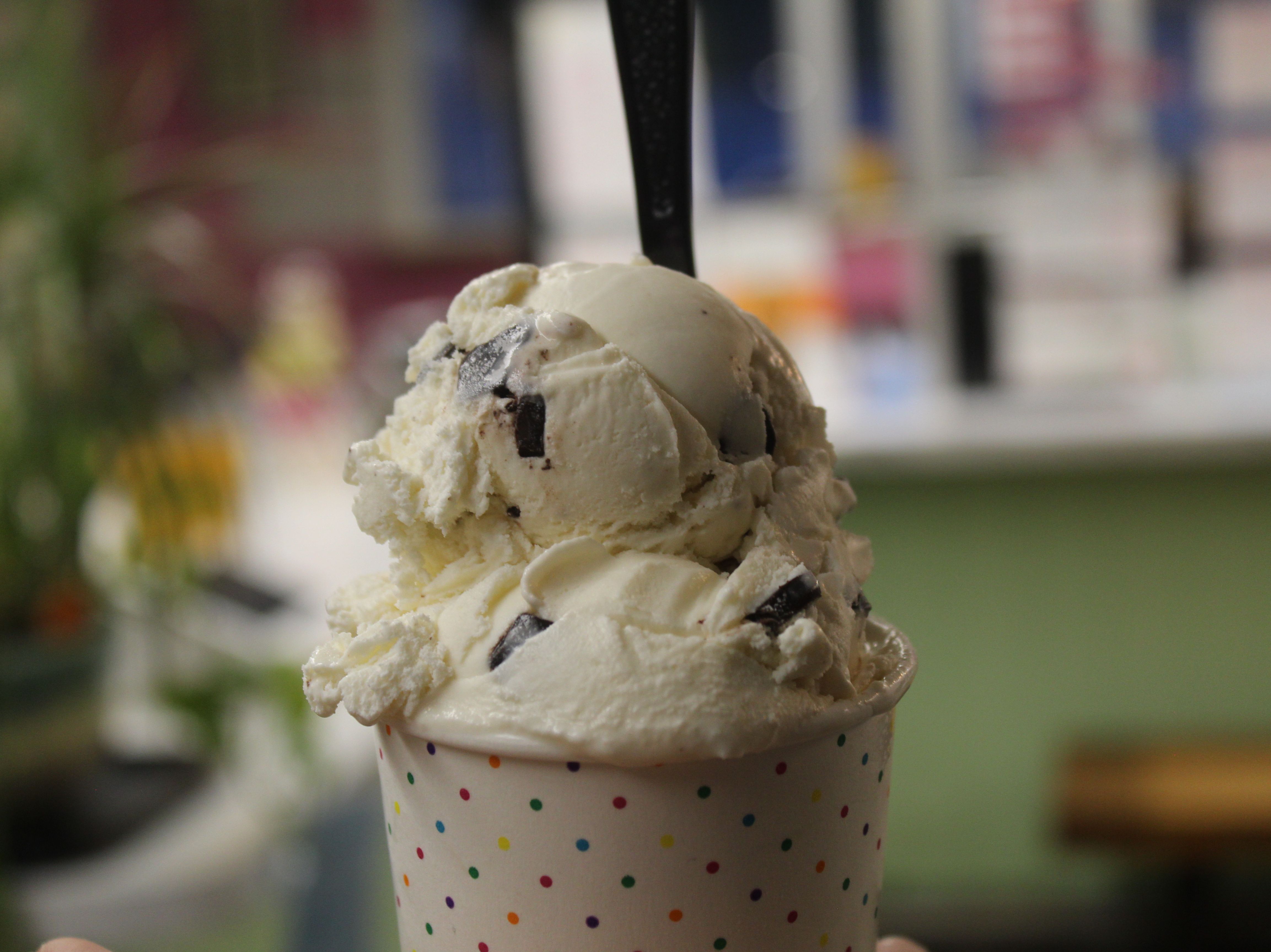 Chocolate Chip