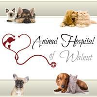 Animal Hospital Of Walnut