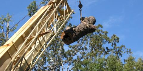 Lamb Tree Service Image