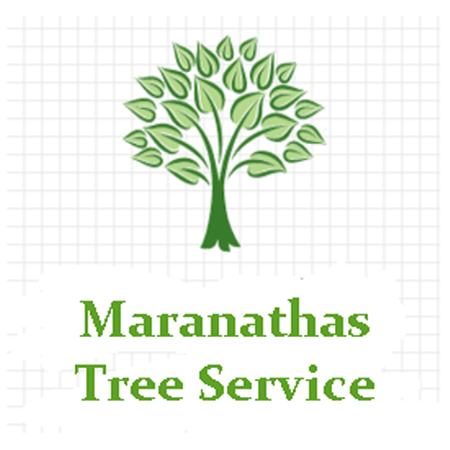 Maranathas Tree Service Logo