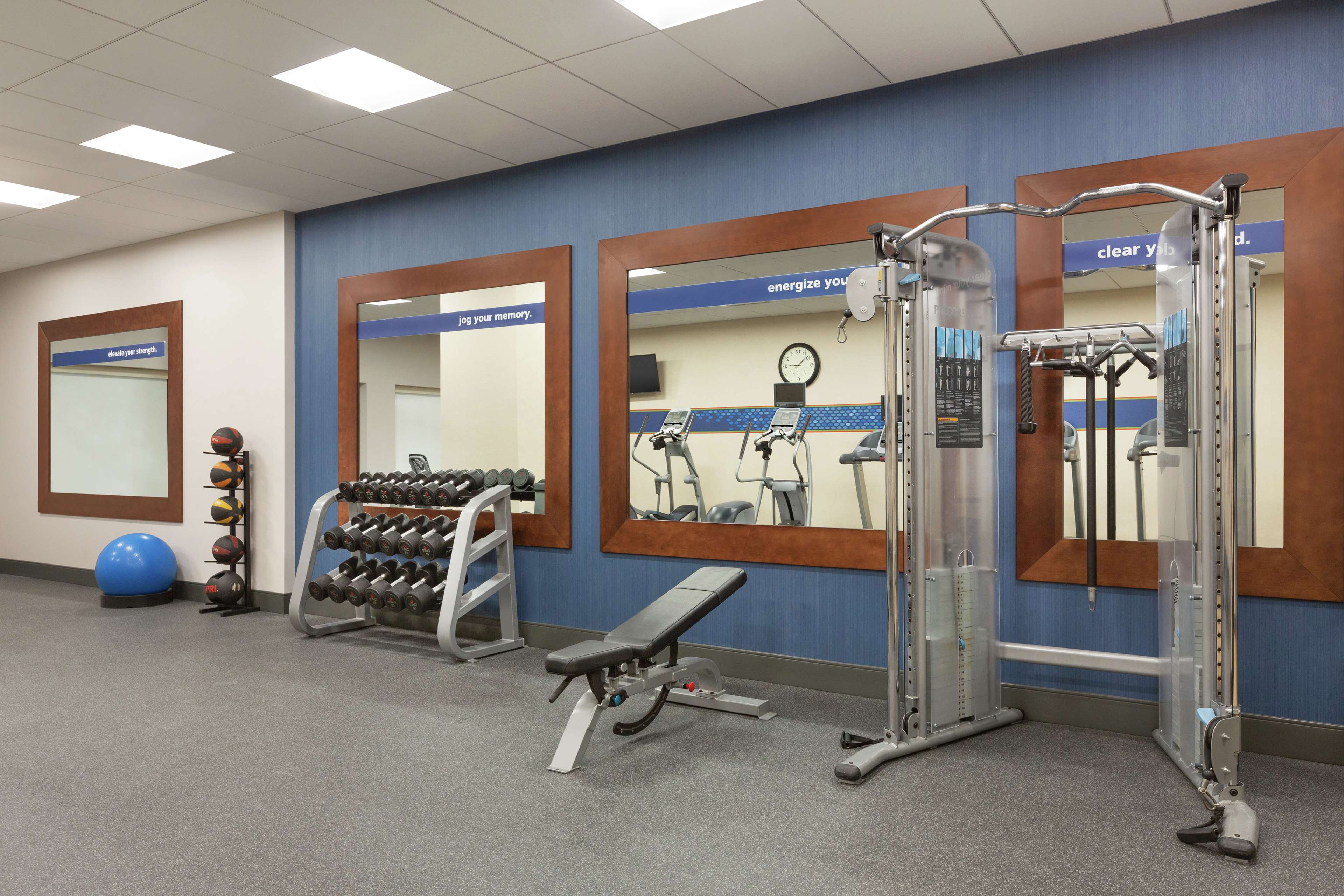 Health club  fitness center  gym