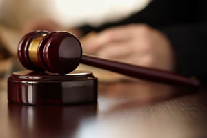 Business Litigation