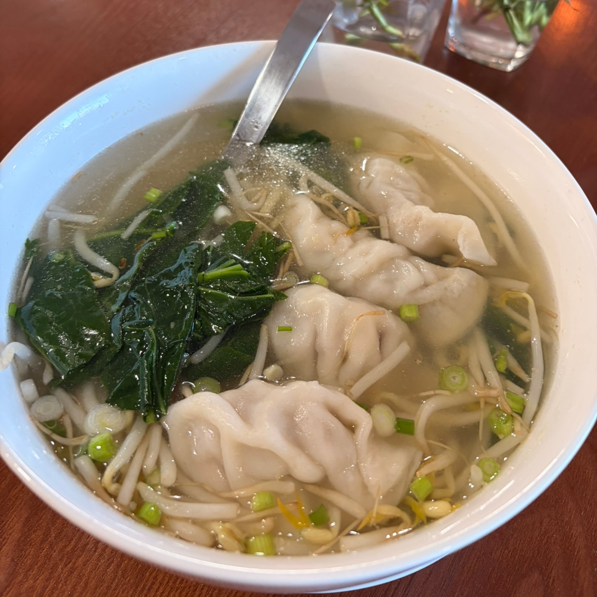 Dumpling Soup