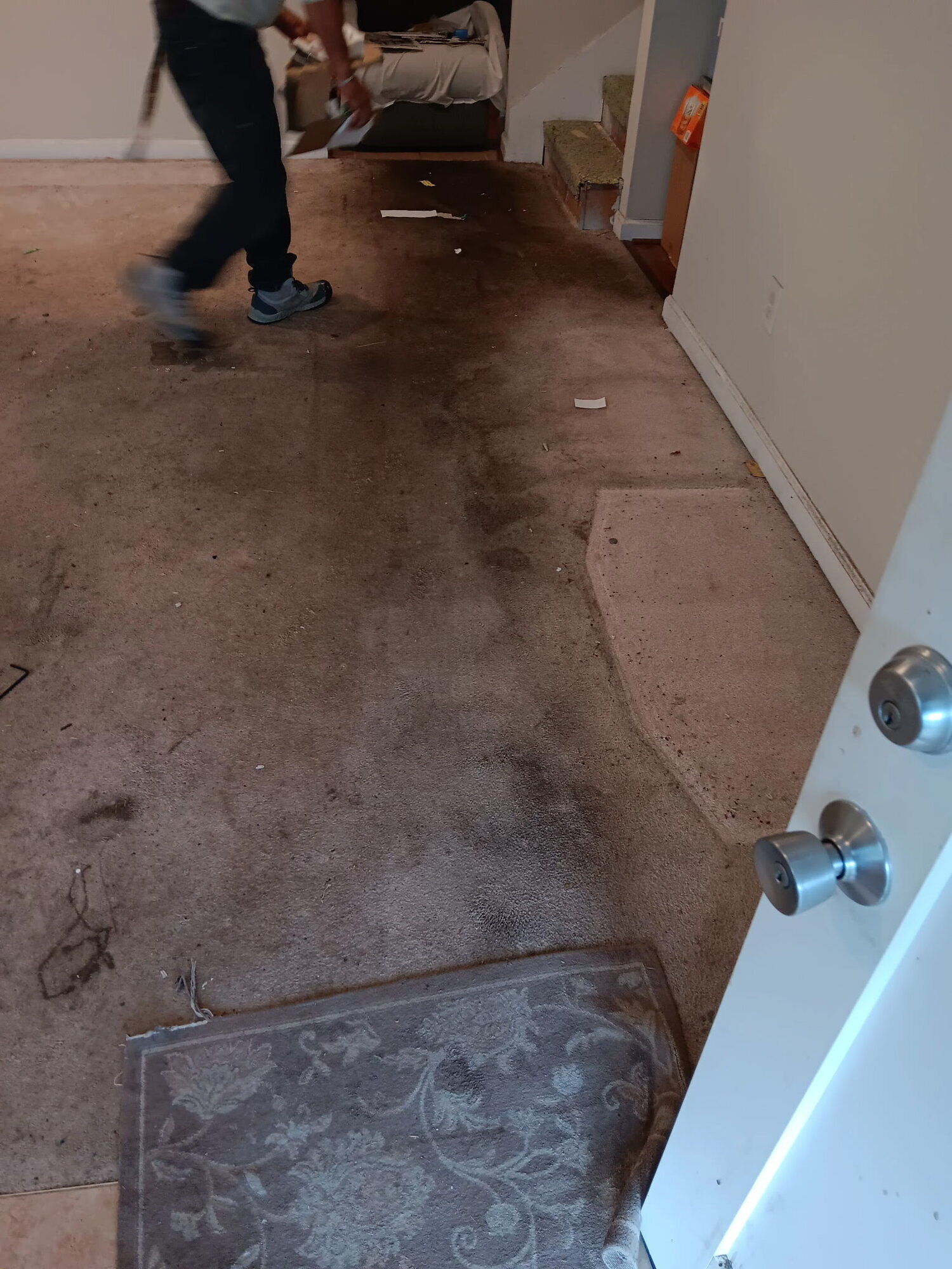 Barrys carpentry Image