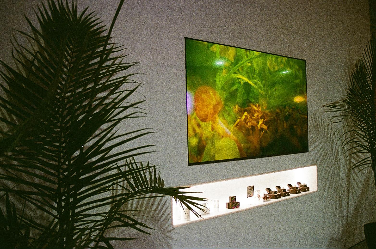 The Flowery Dispensary Fort Myers Image