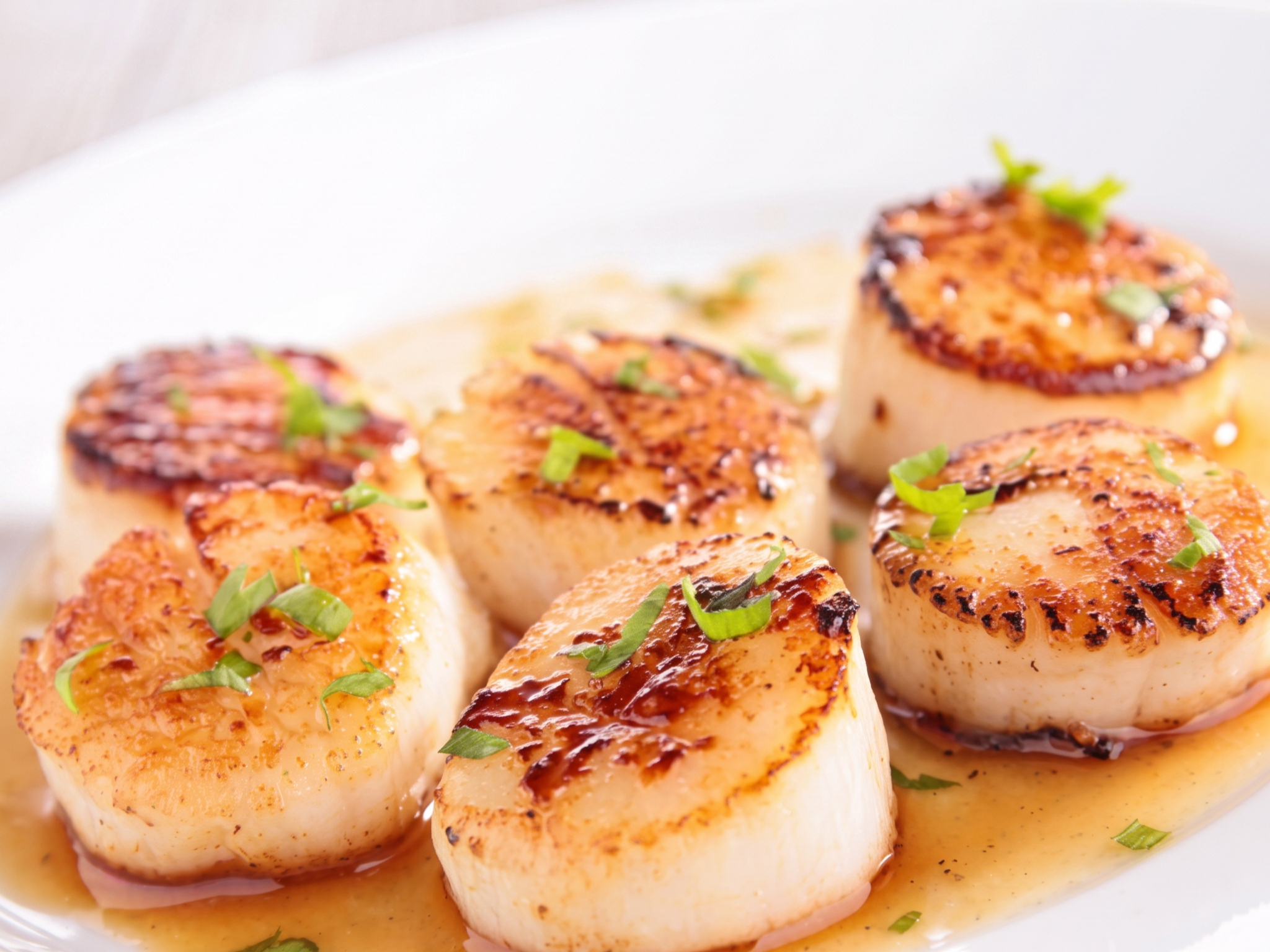 #12 Scallop Platter