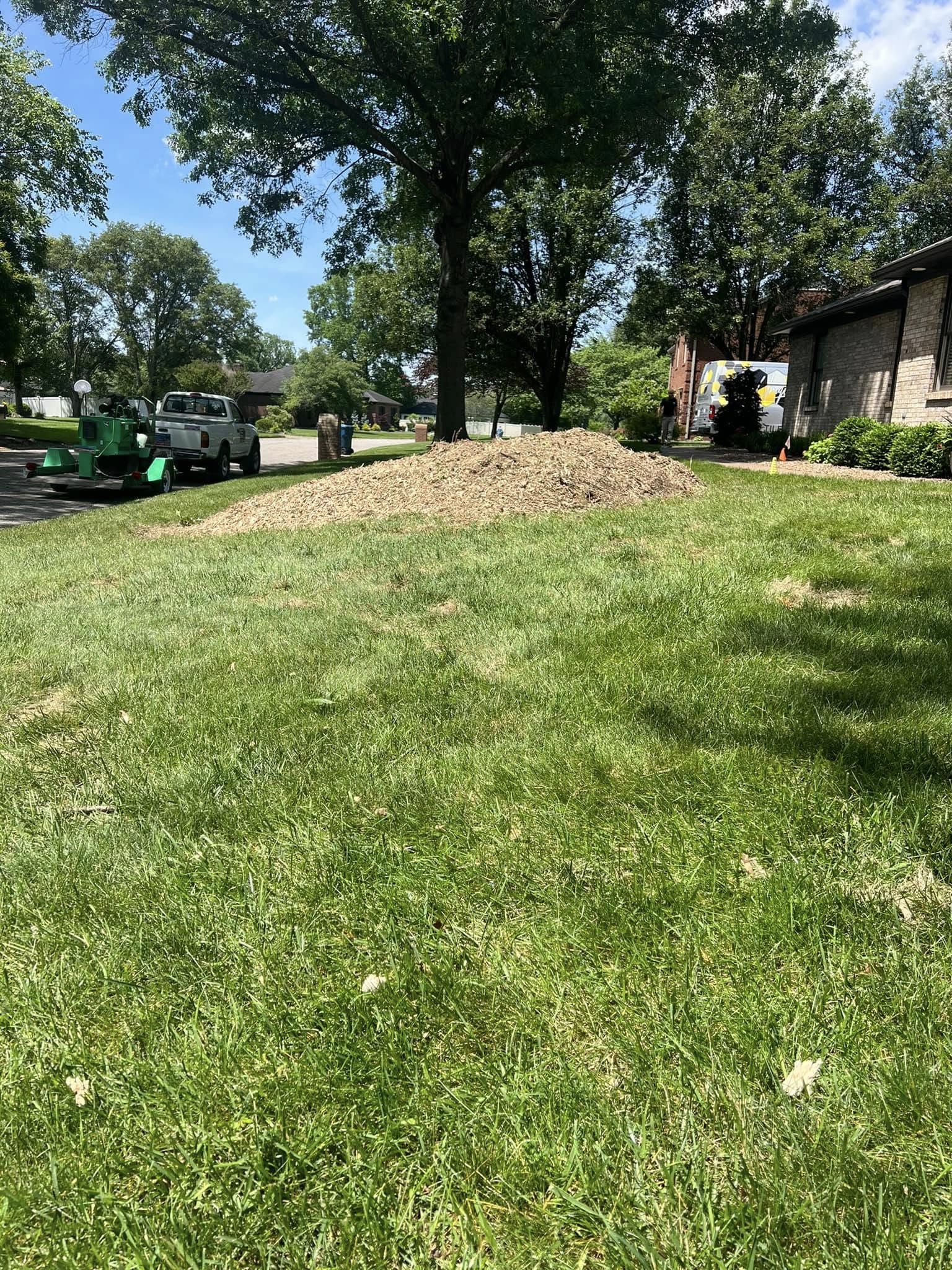 Abracadabra Stump Grinding Image