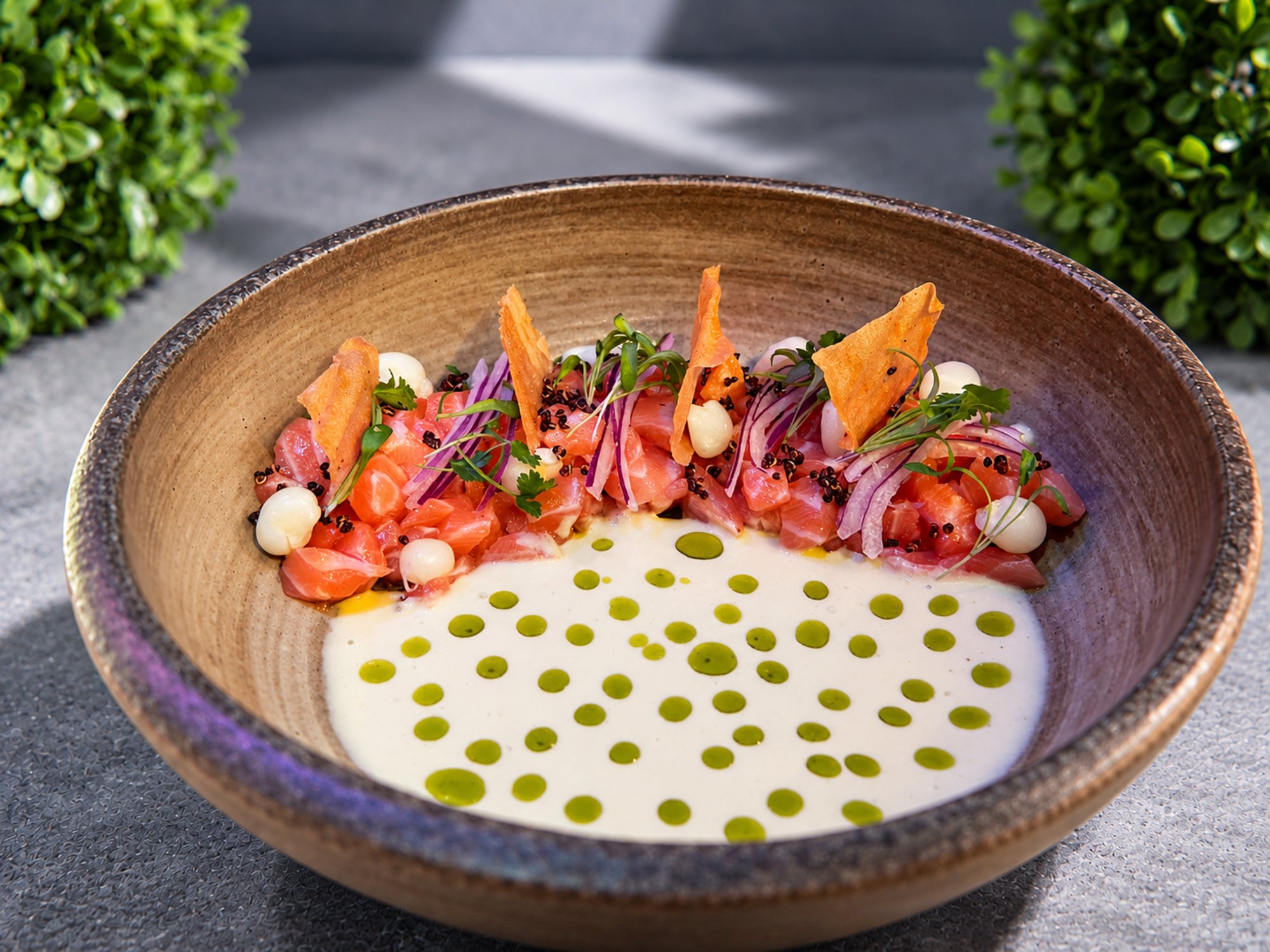 Salmon Ceviche
