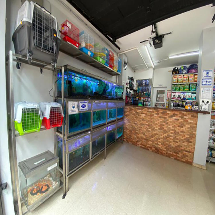 Galería en miniatura