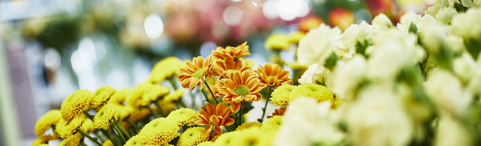 Bilder Blumen Engele - Inh Mario Marbler