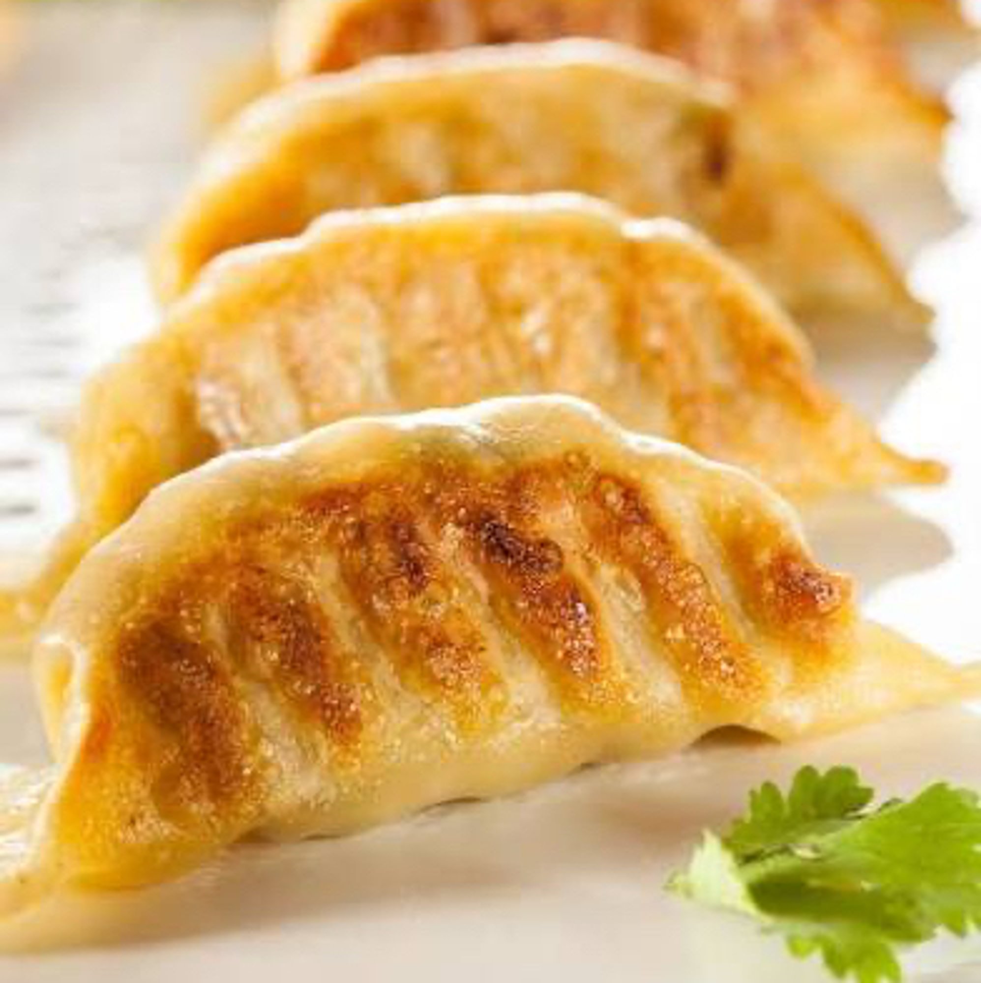 Pork Gyoza