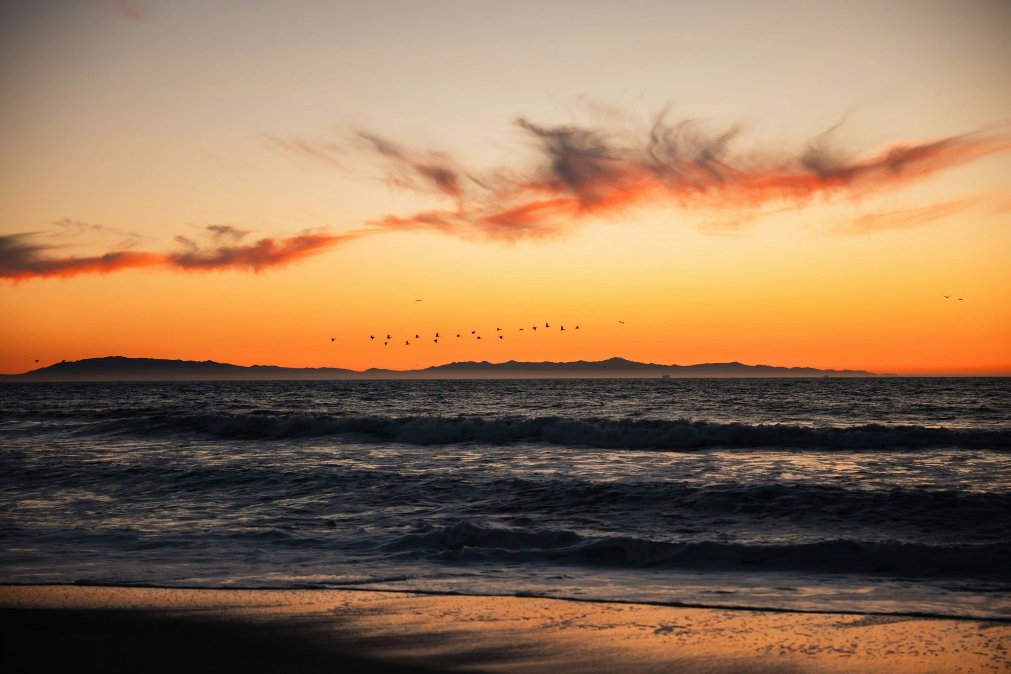 Staybridge Suites Oxnard - River Ridge by IHG Image