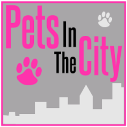Pets in the City Doggie Daycare, Boarding and Grooming
