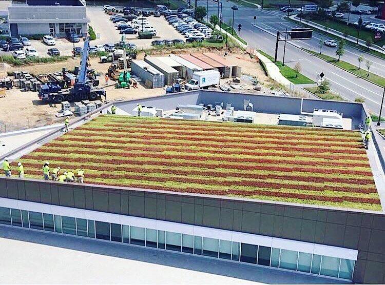 The Exchange at Bridge Park Image