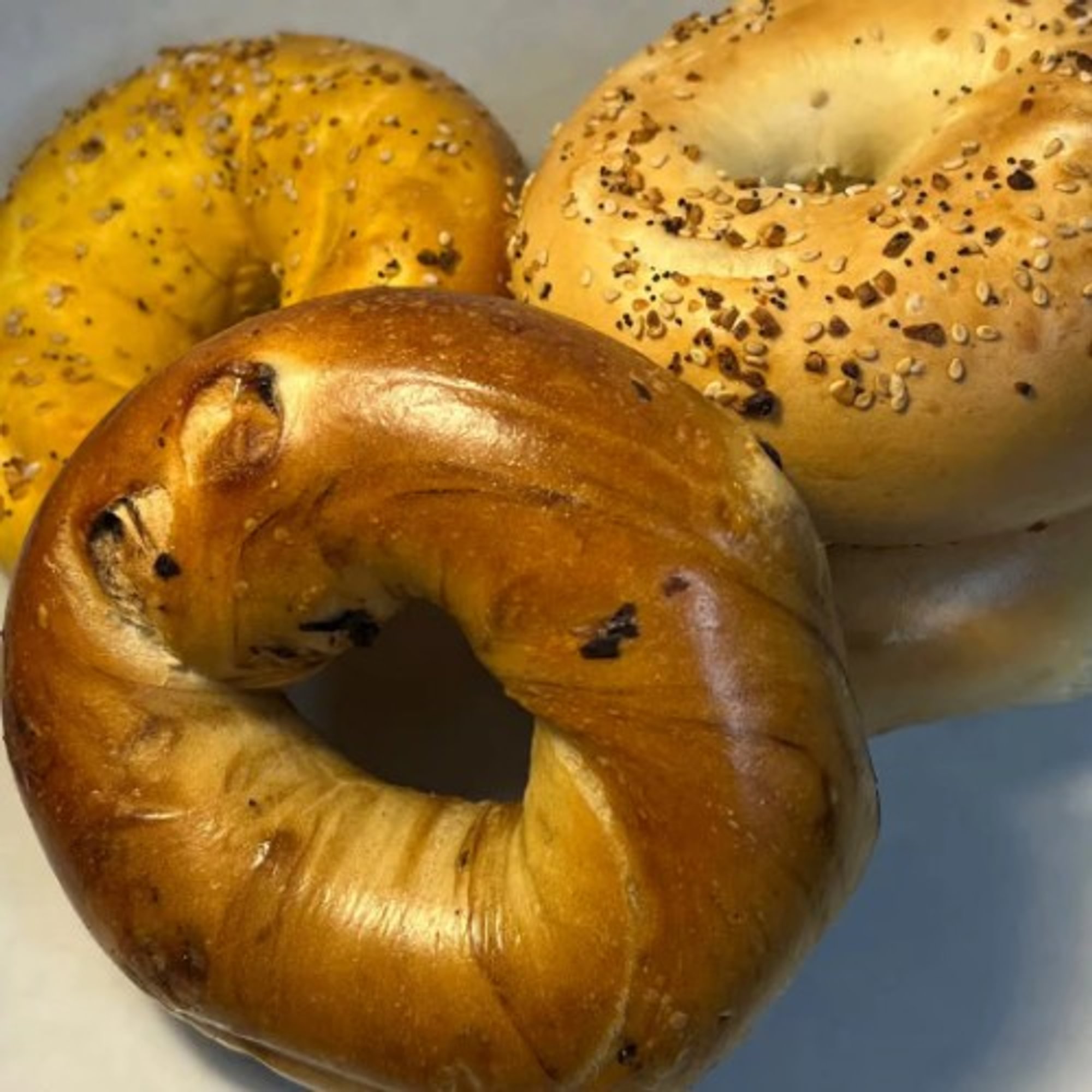 $12 Bagel Deal