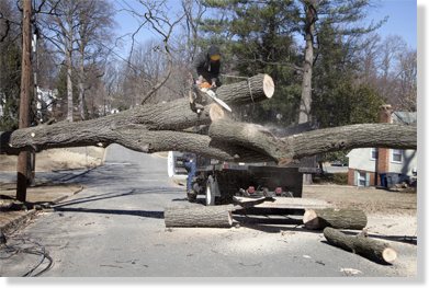 Balfour Landscape & Tree Service Image