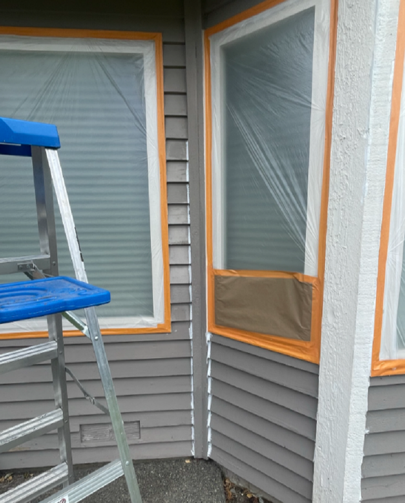 Cover Pro Painting Image