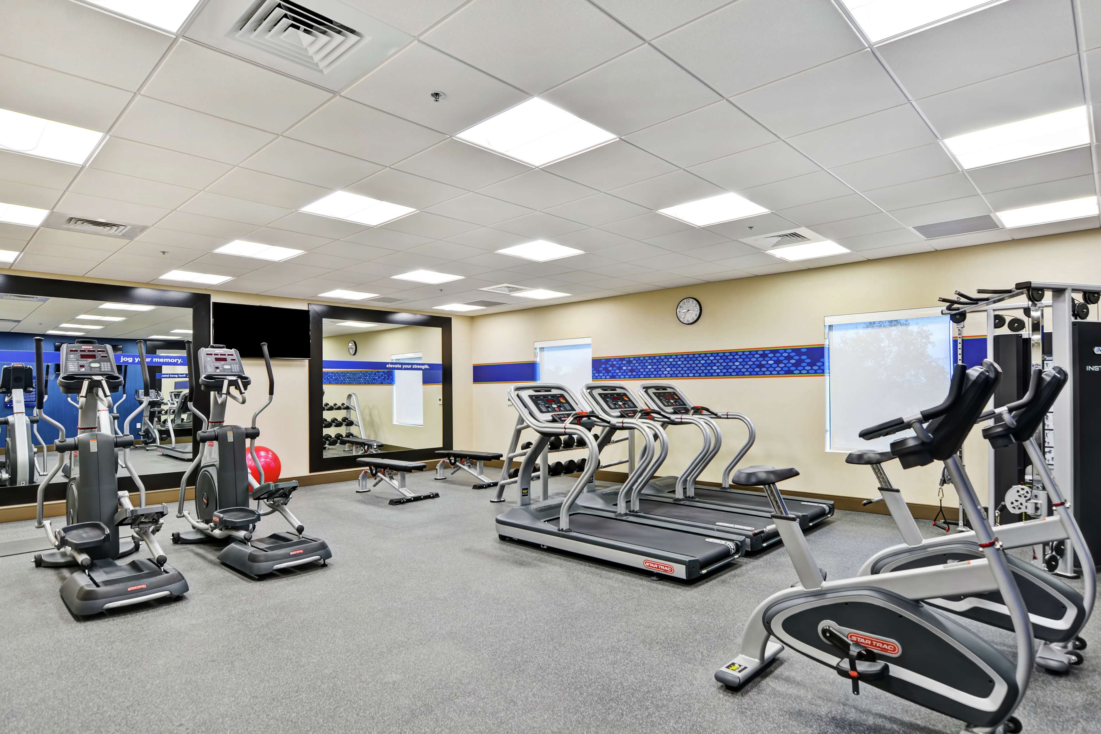 Health club  fitness center  gym