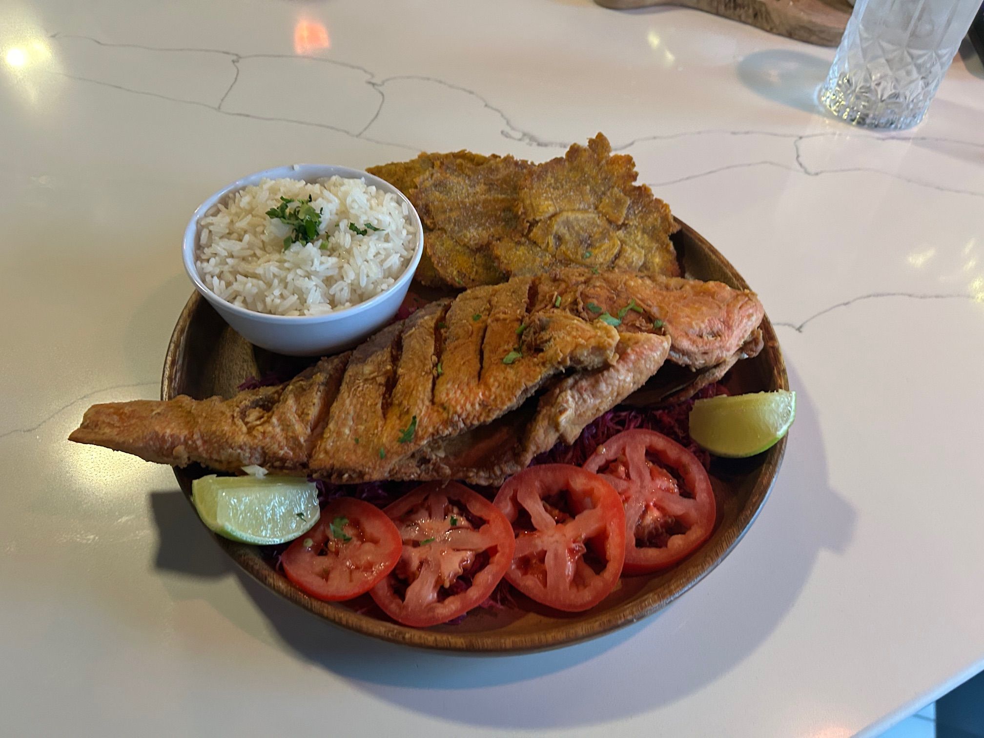 Yellowtail Snapper