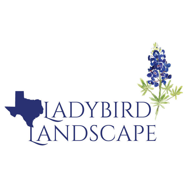 Ladybird Landscape