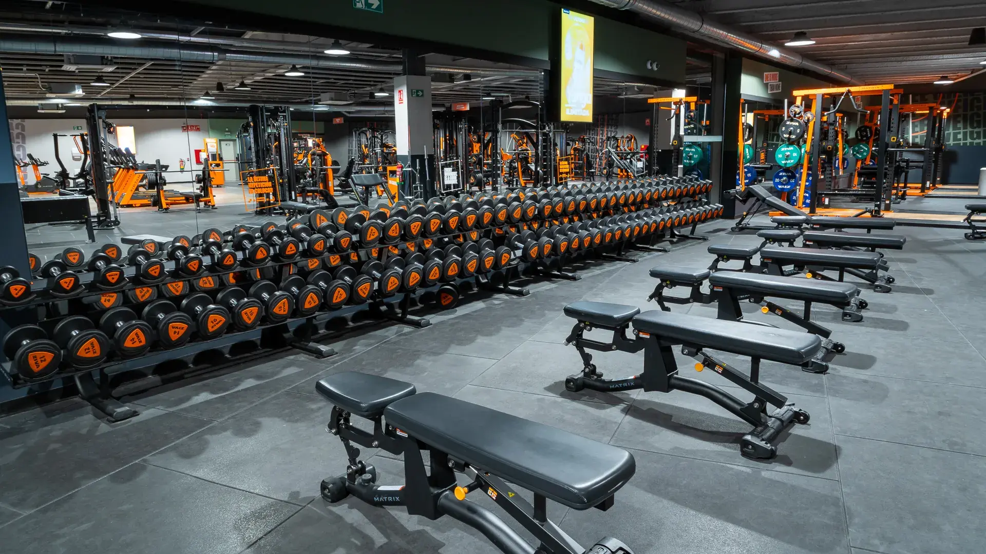 Galería en miniatura