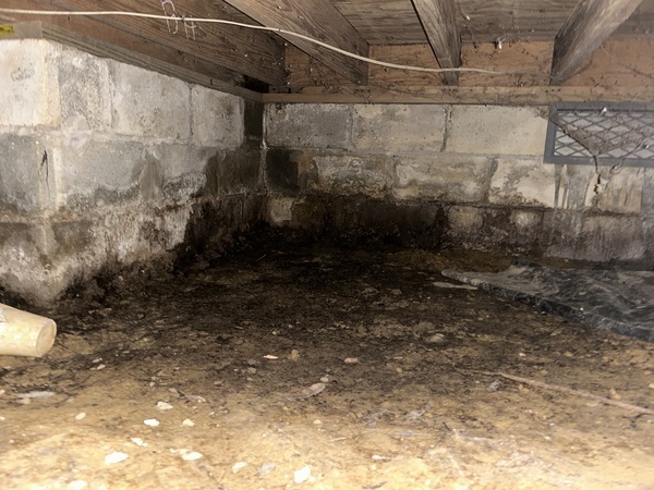 Ox Foundation Solutions Image