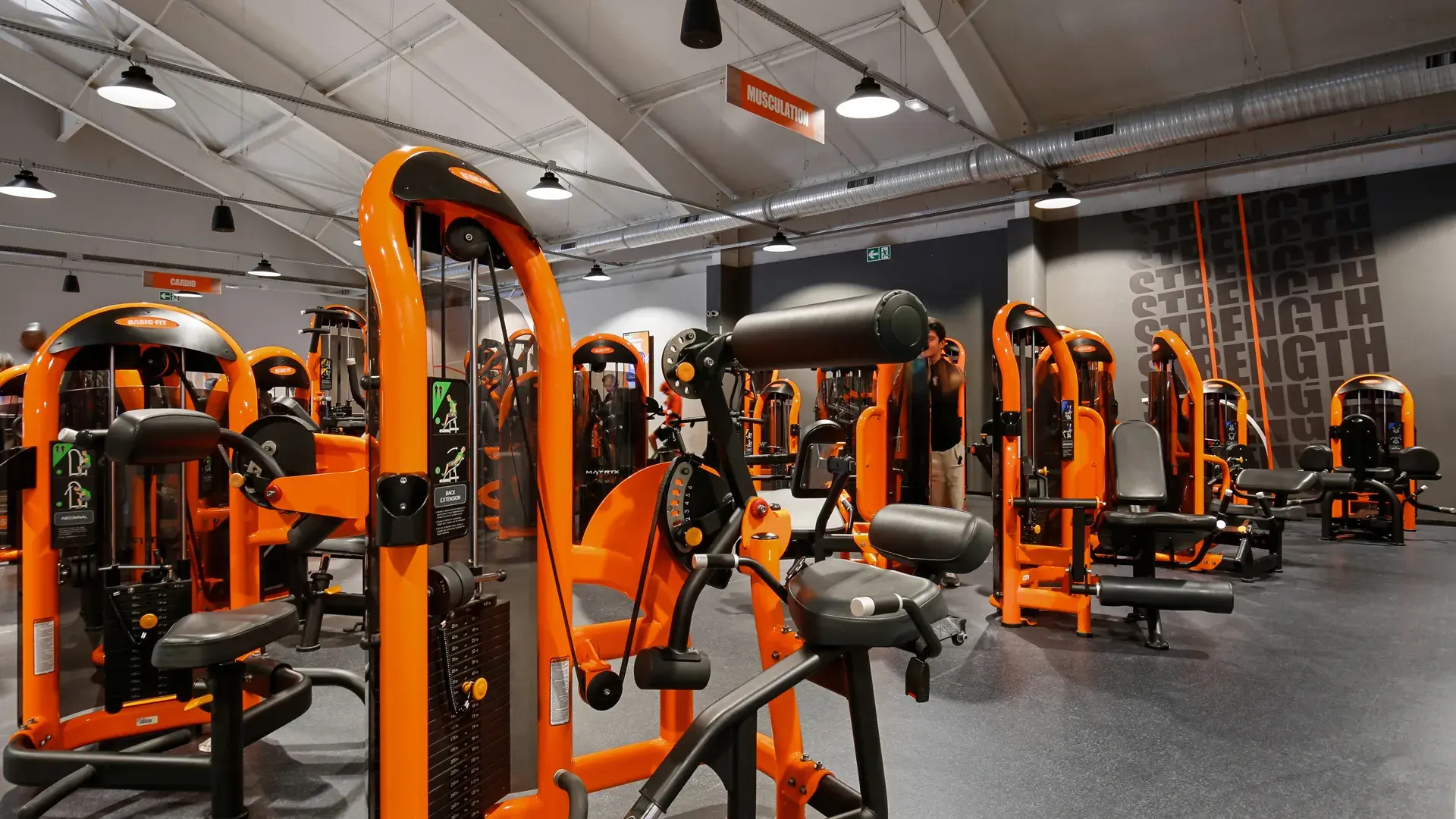 Miniature de la galerie