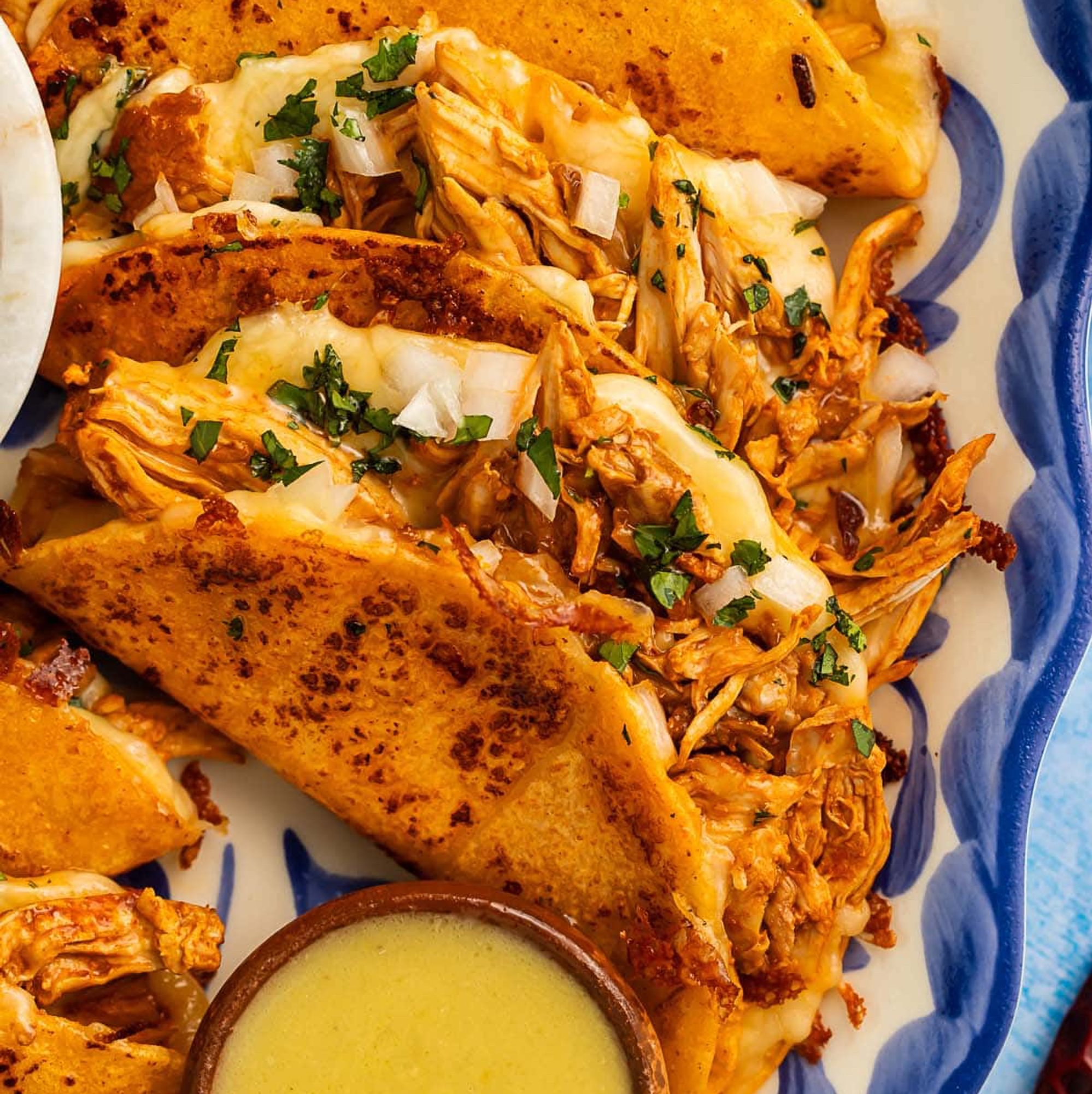 Chx Birria Quesatacos -3x