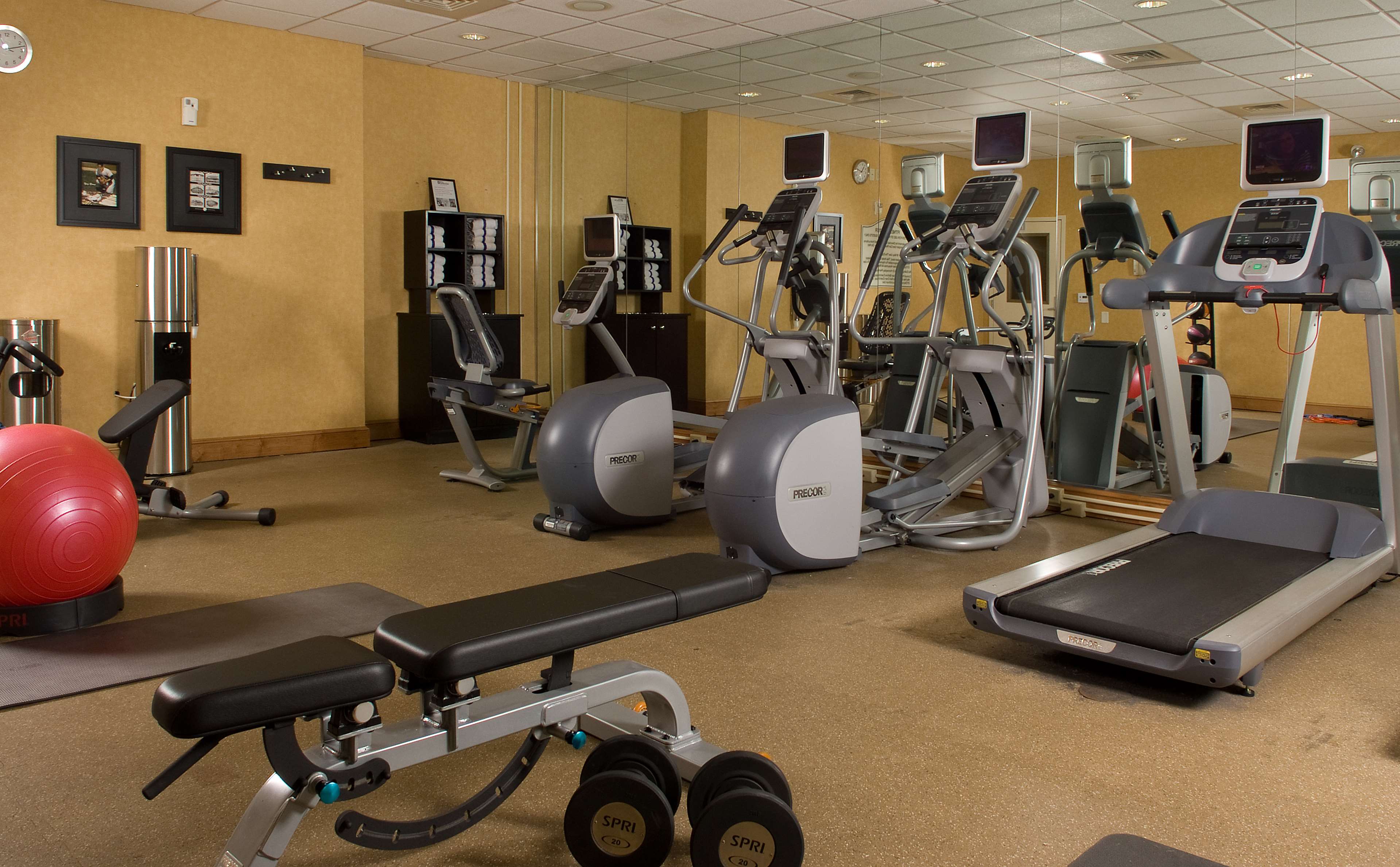 Health club  fitness center  gym