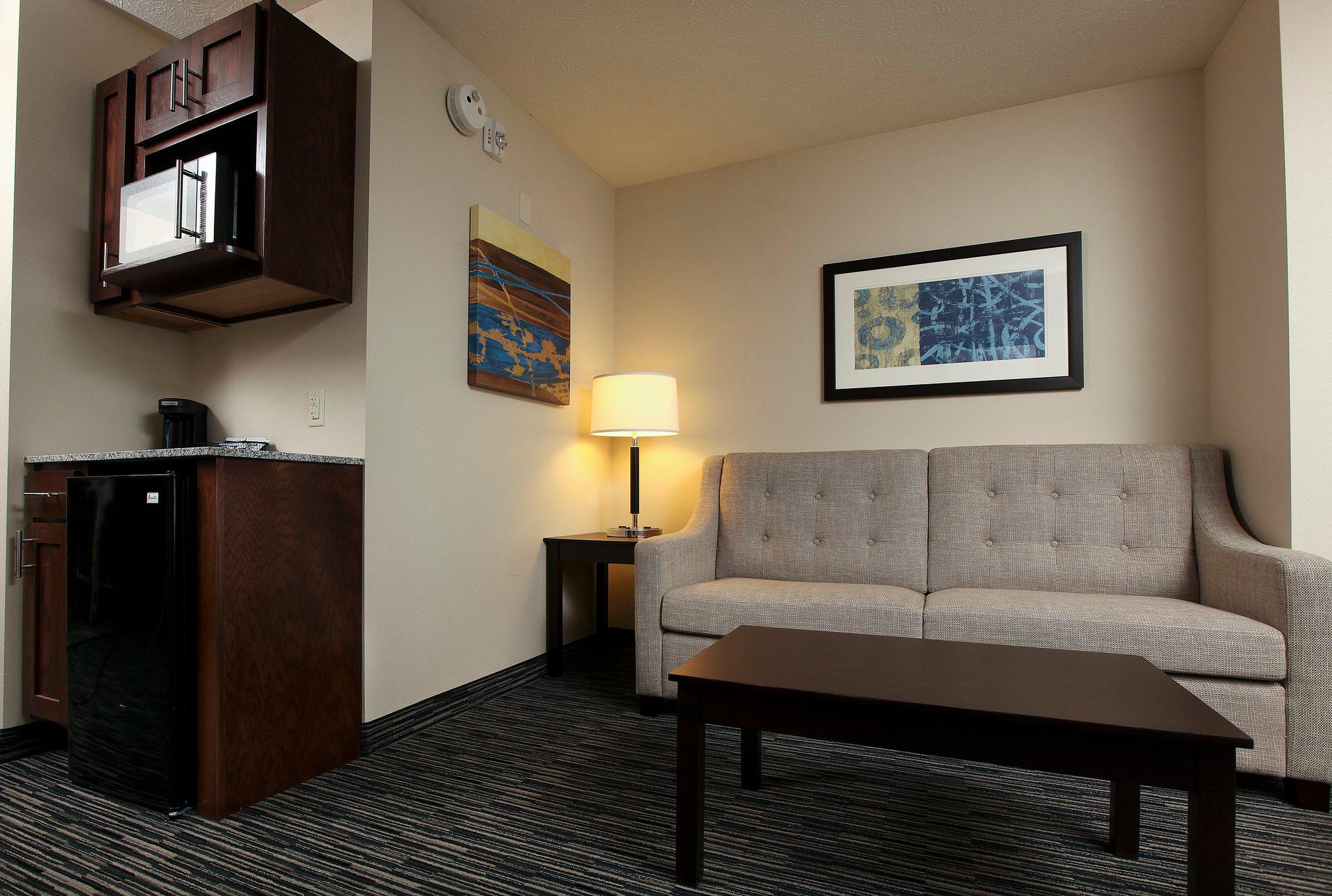 Holiday Inn Express & Suites Omaha South - Ralston Arena Photo