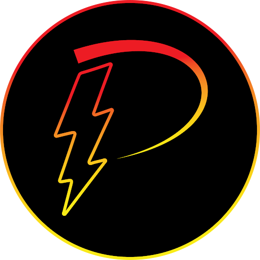 Precision Electric and Lighting Services LLC