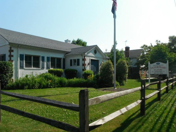Locust Valley