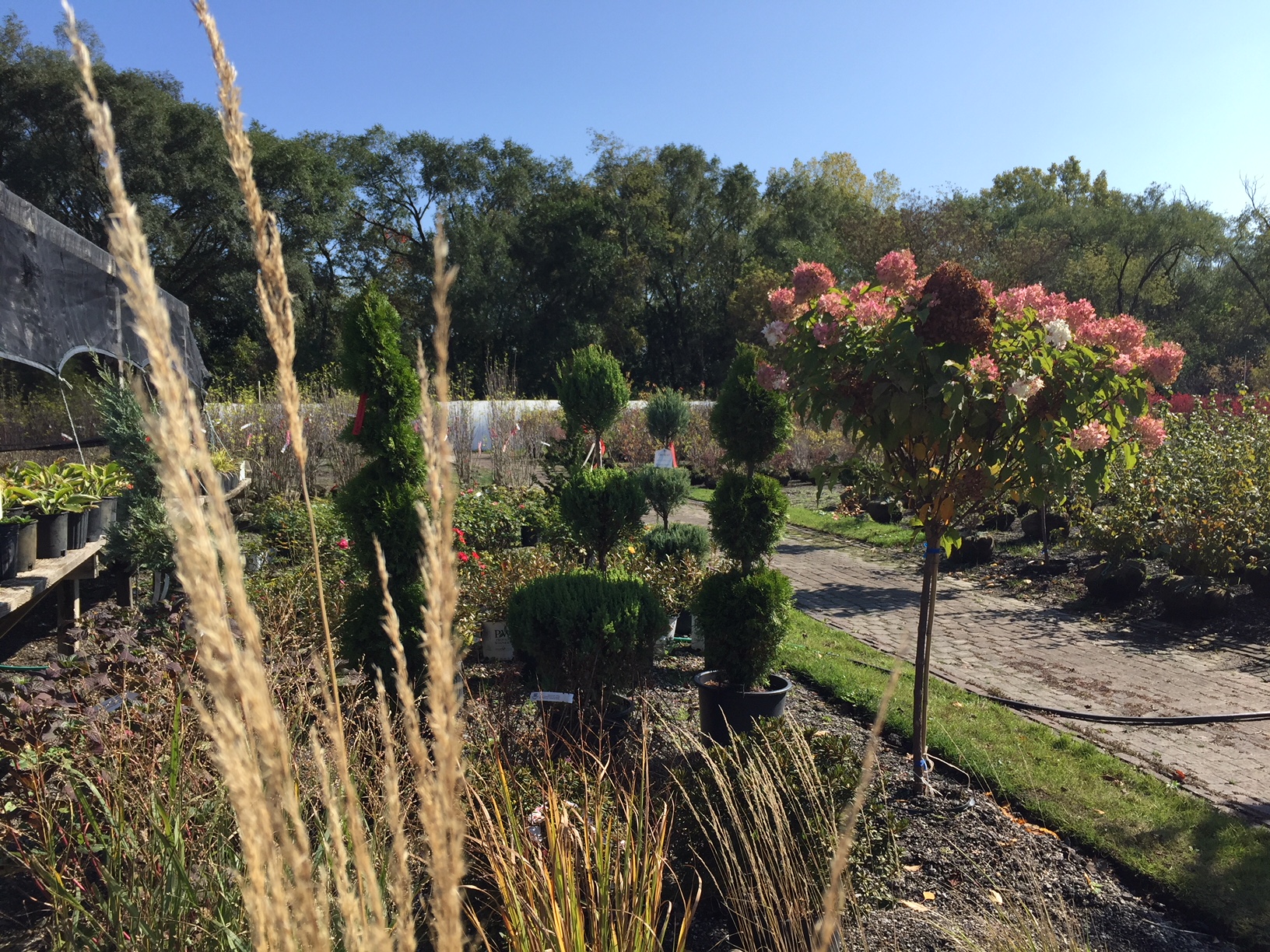 Rolling Hills Nursery Photo