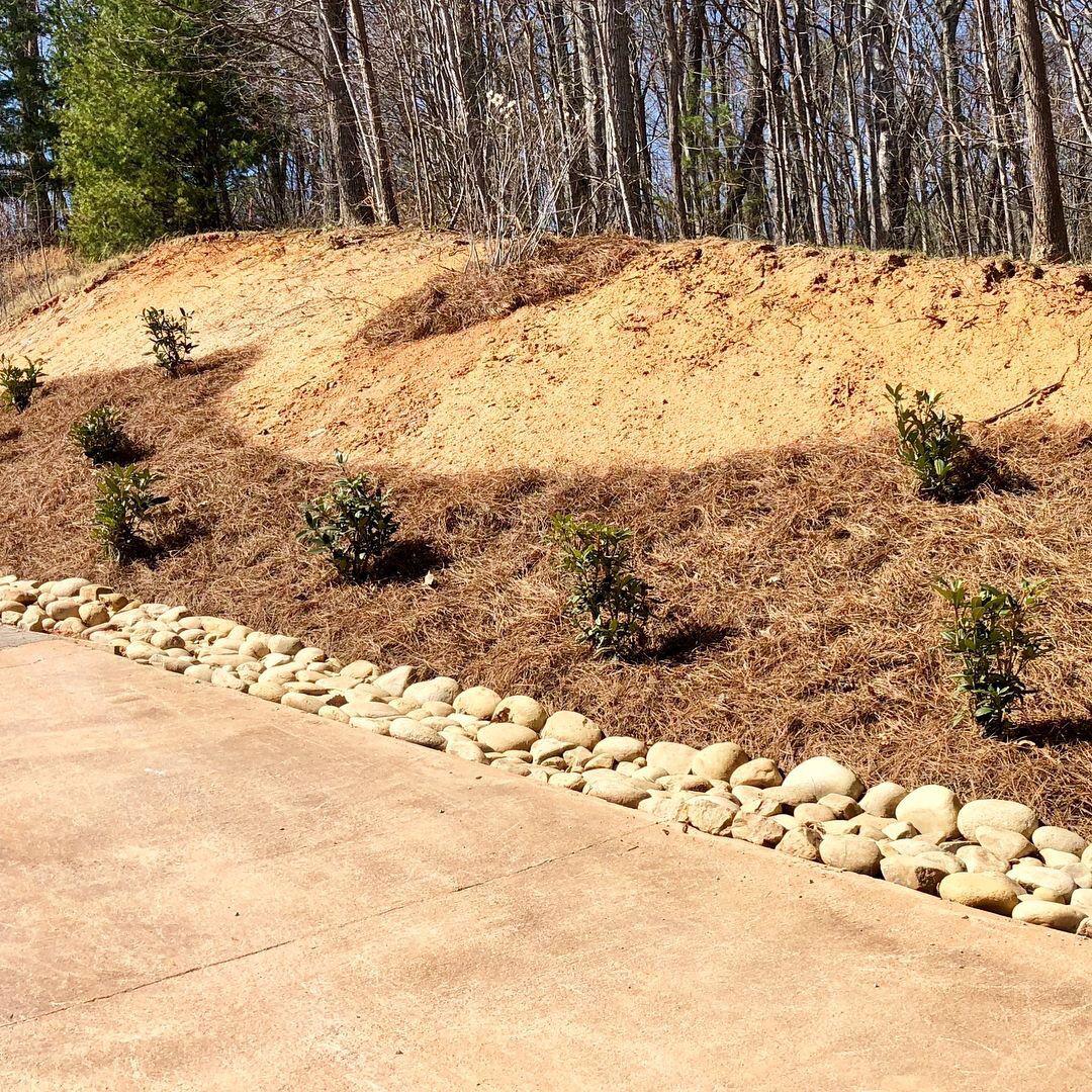 Mountain View Landscaping & Design Photo