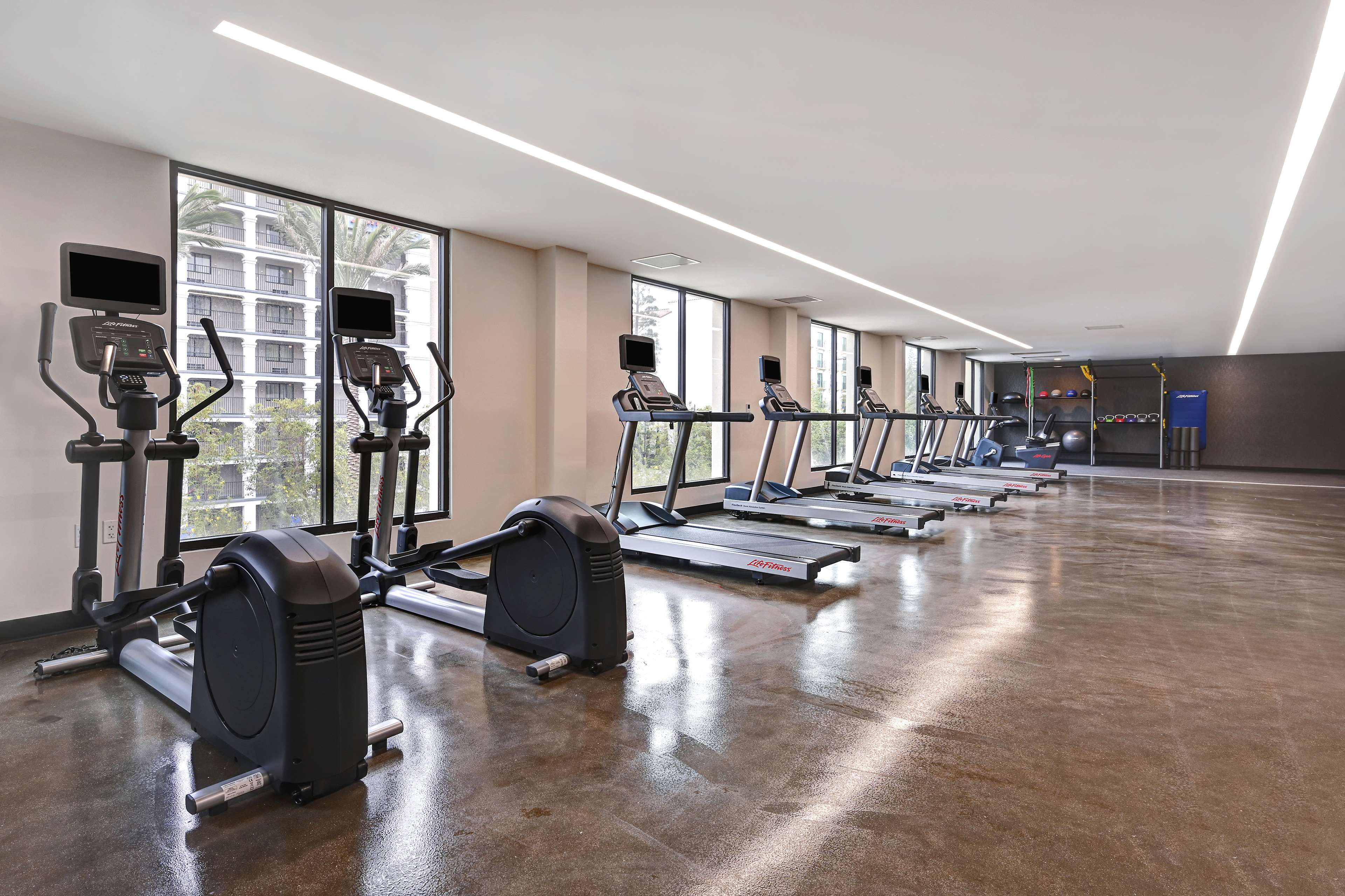 Health club  fitness center  gym