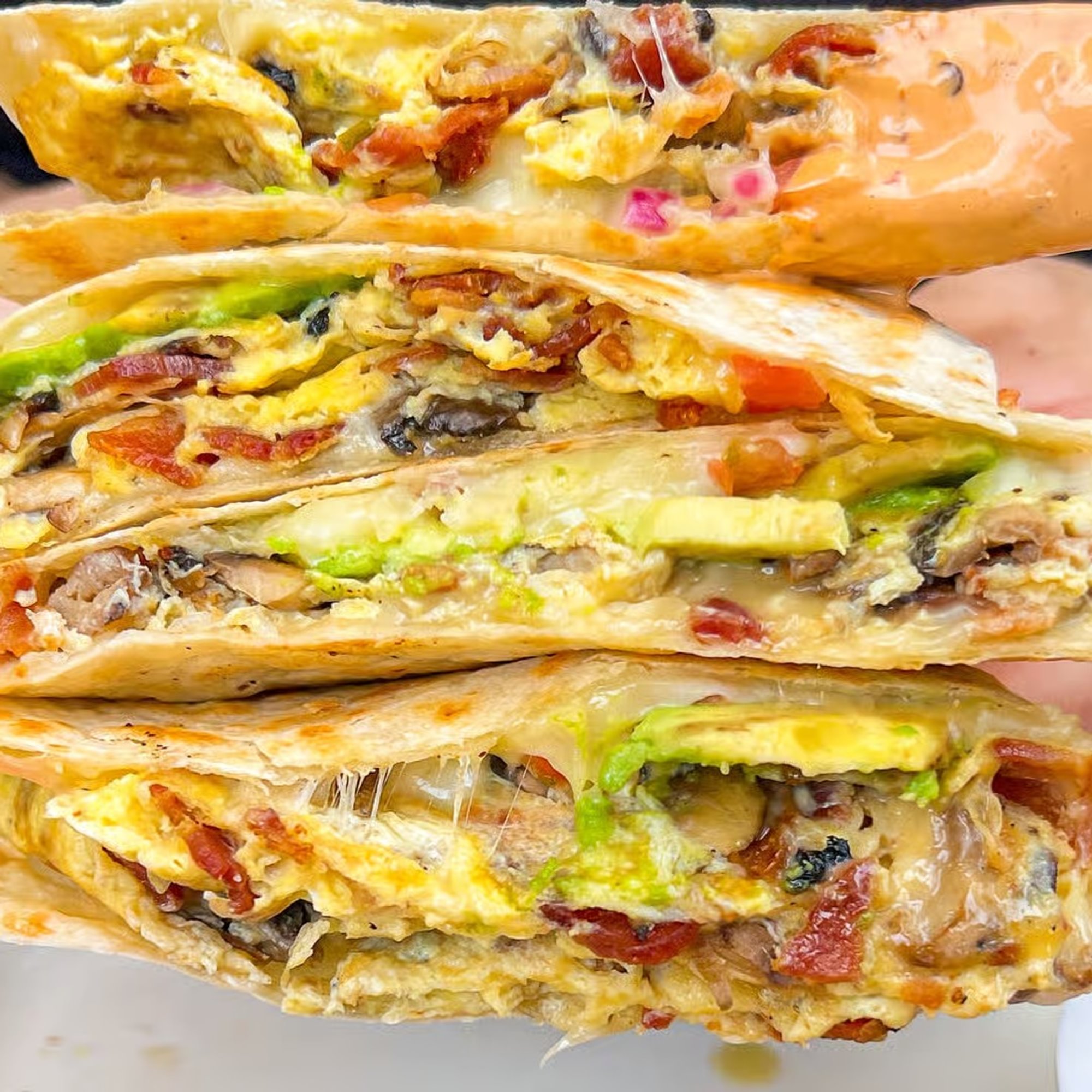 Chicken Quesadilla