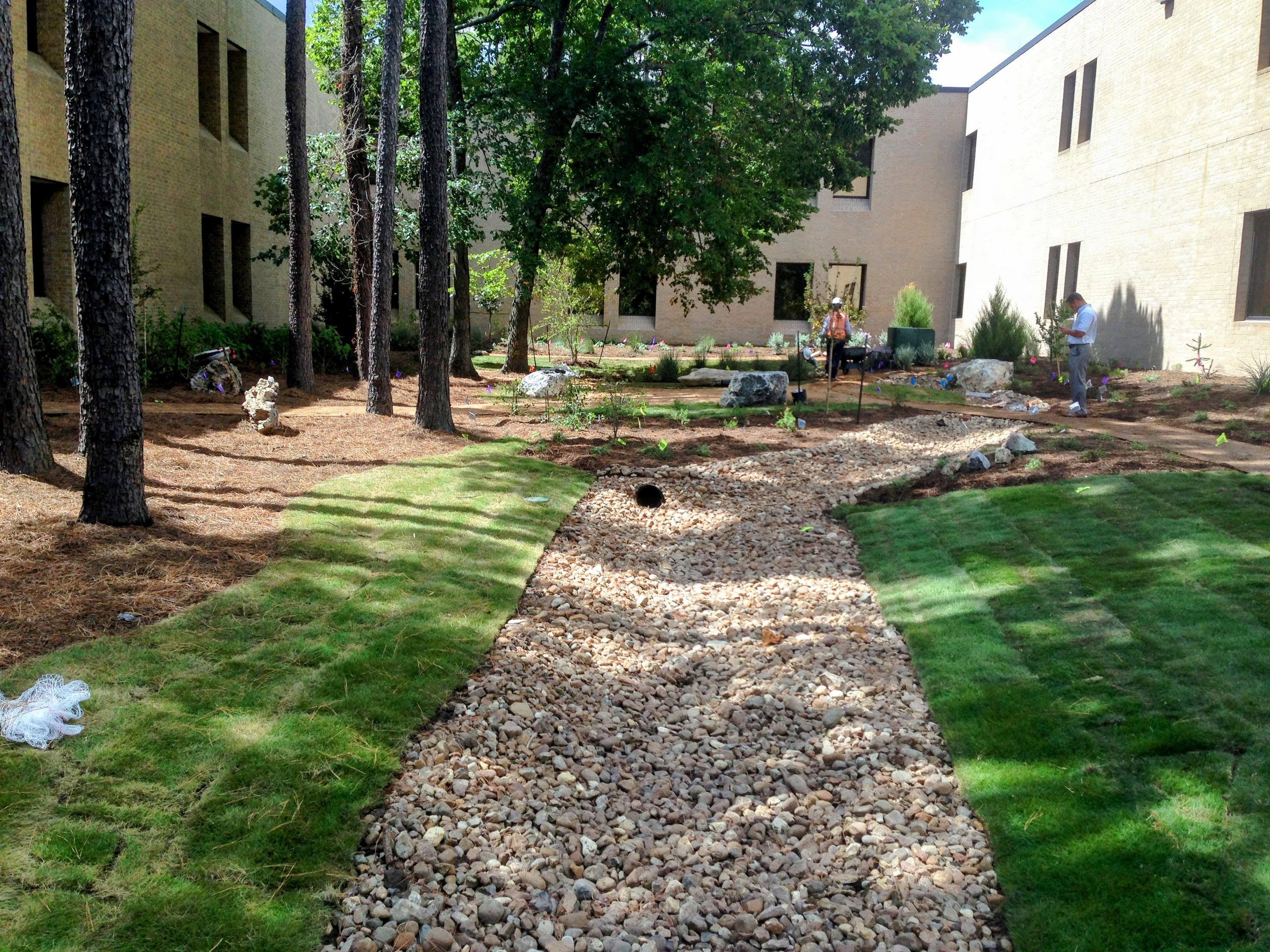 Maldonado Nursery and Landscaping Image