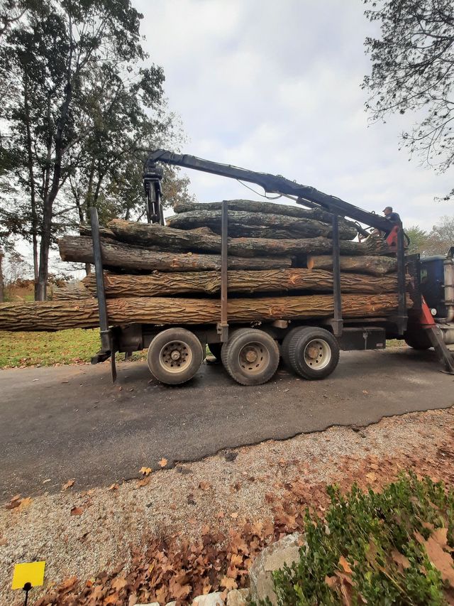 Bob's Tree Services Image