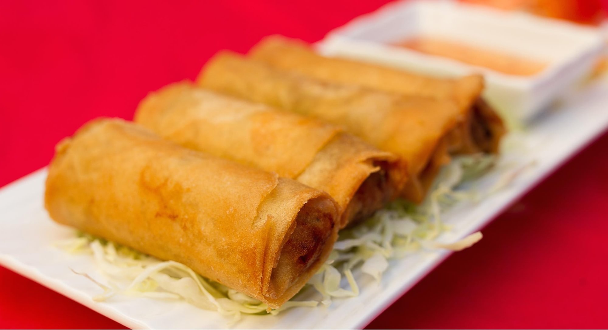 Crispy Vegetarian Spring Roll