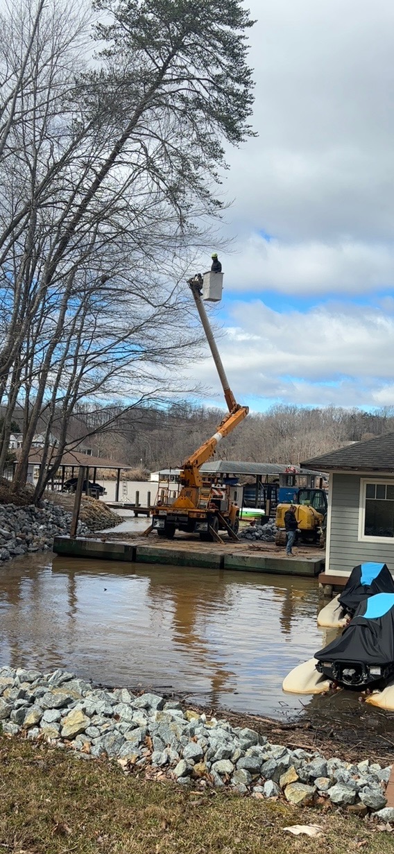 Dominion Tree Care Specialists Image