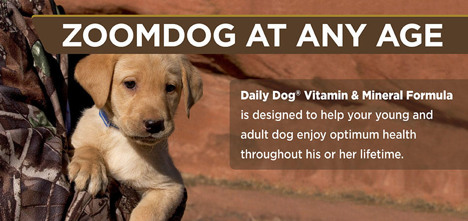 ZoomDog Supplements Photo