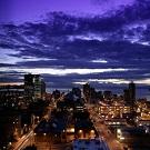 The Business Boutique Logo