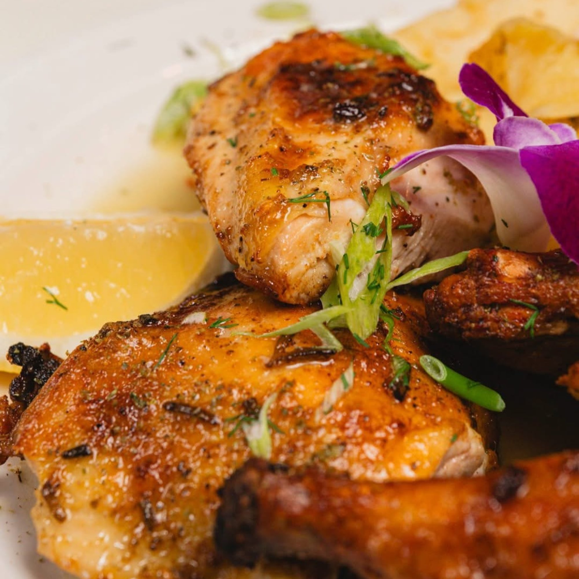 Chicken