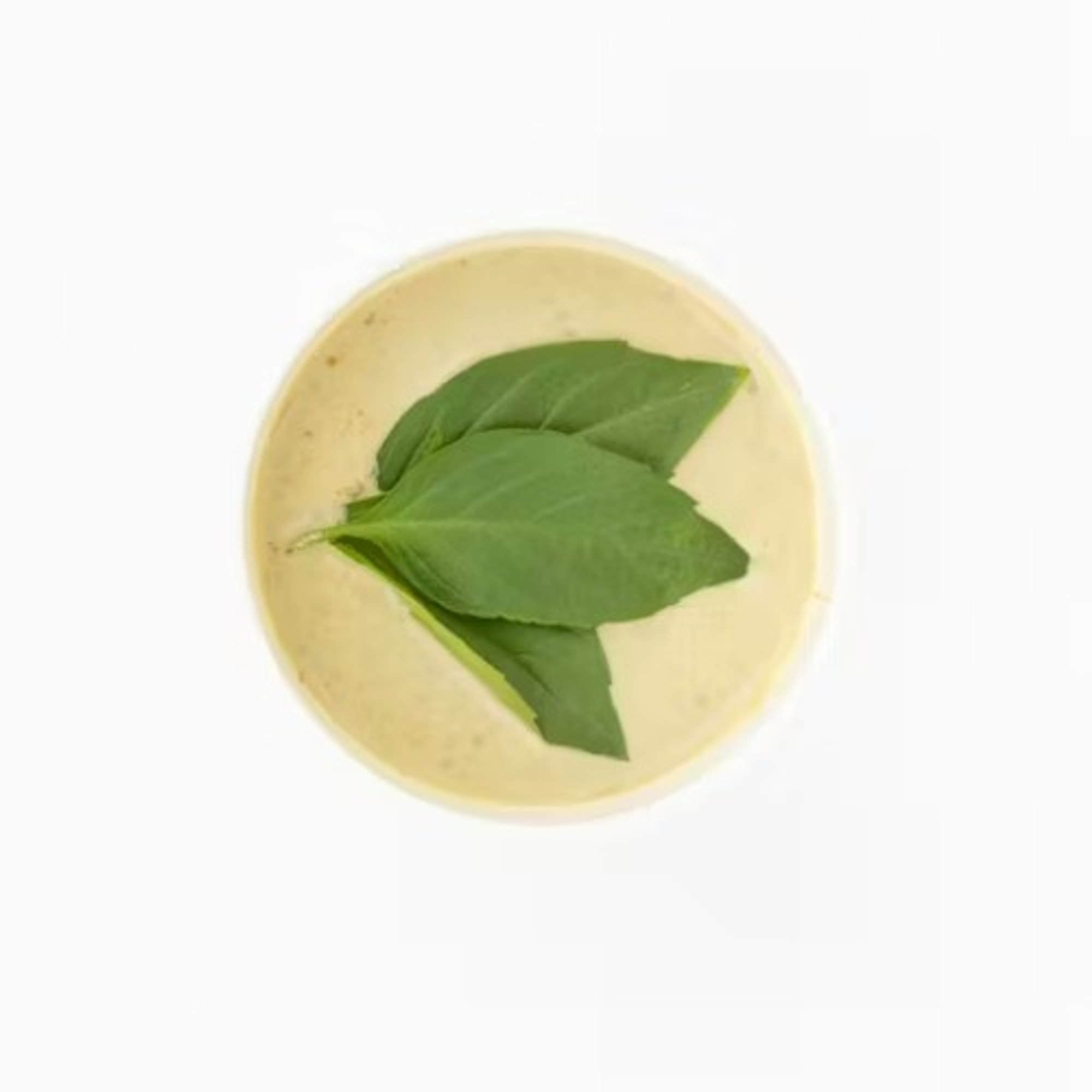 Nit Noi Green Curry Sauce
